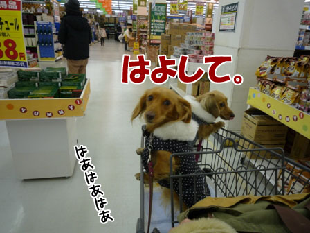 004_20120105225146.jpg