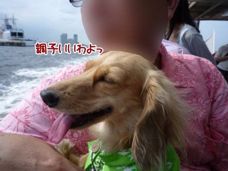 050_20120701001122.jpg