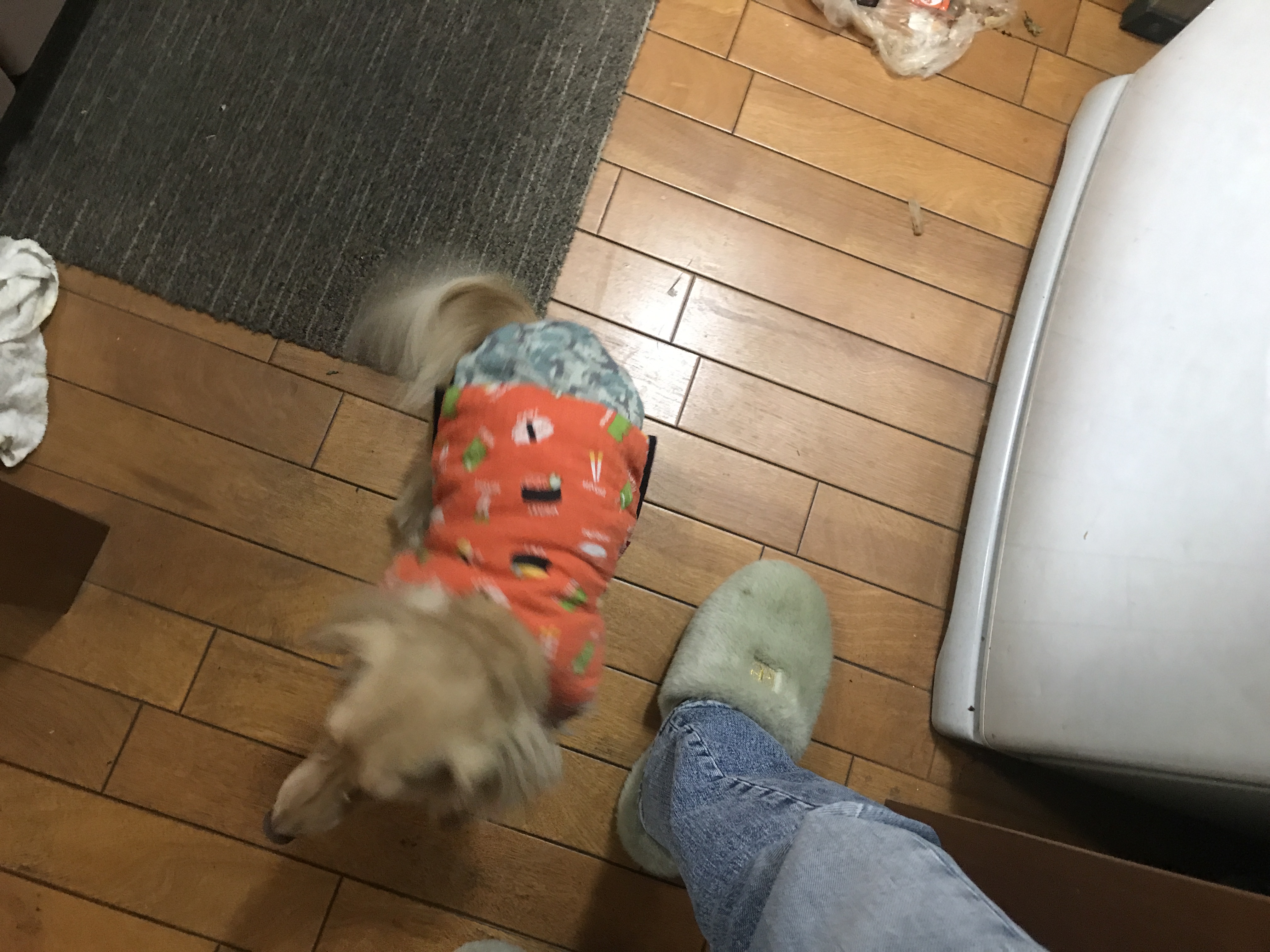 容疑者は犯行現場に舞い戻る メルロコ一家の横須賀ストーリー Powered By ライブドアブログ 容疑者は犯行現場に舞い戻る メルロコ一家の横須賀ストーリー Powered By ライブドアブログ