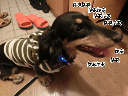 006_20150914221249ee6.jpg