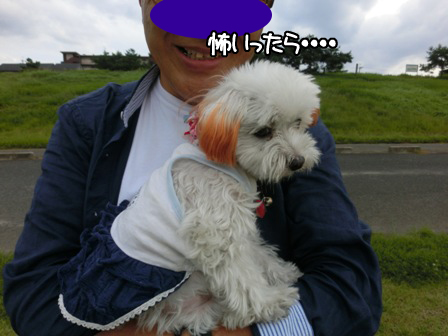 20150922033.jpg