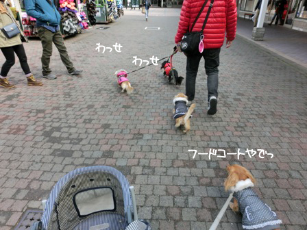 201512182.jpg