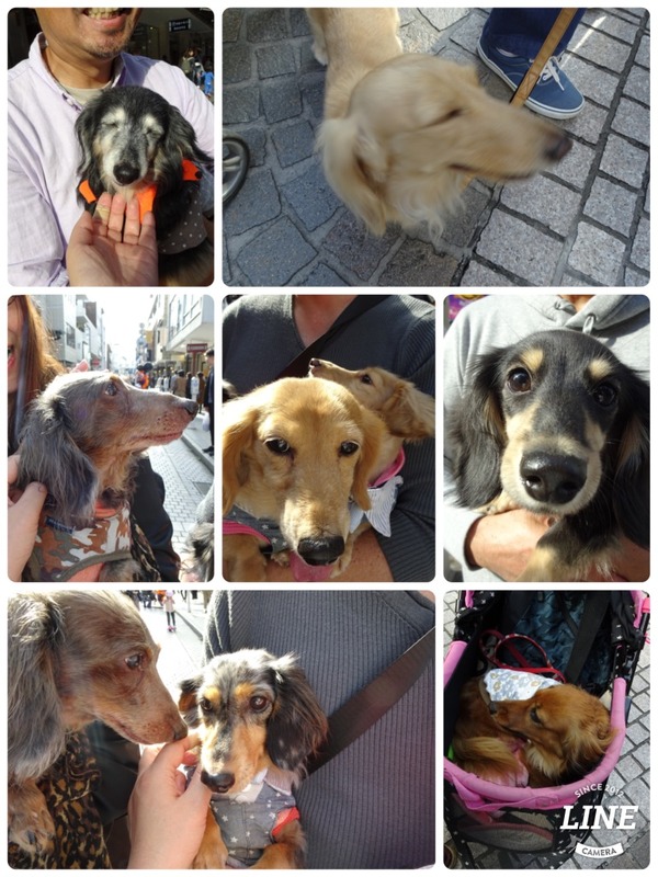 UNADJUSTEDNONRAW_thumb_853e