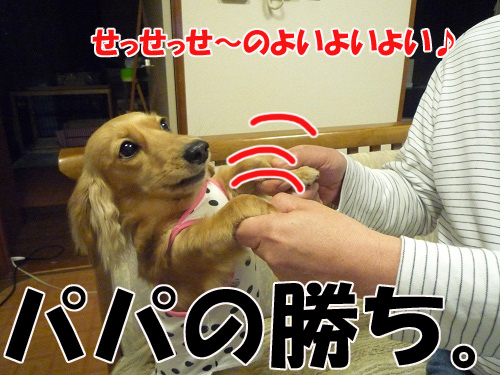 183d762b.jpg