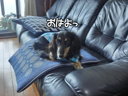 2015100913.jpg