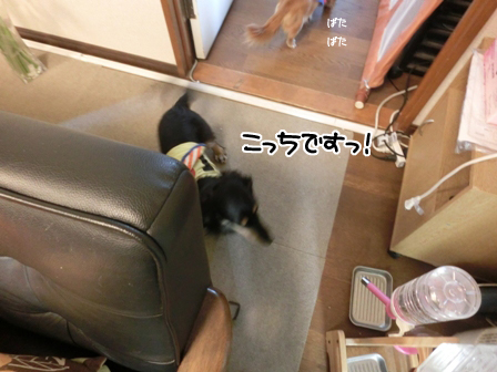 201602202.jpg