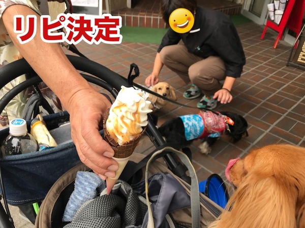 20180527meruloco-17