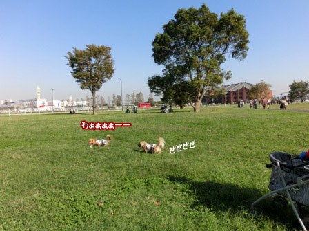 039_20121022003032.jpg