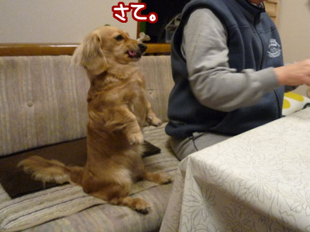 007_20120306223347.jpg