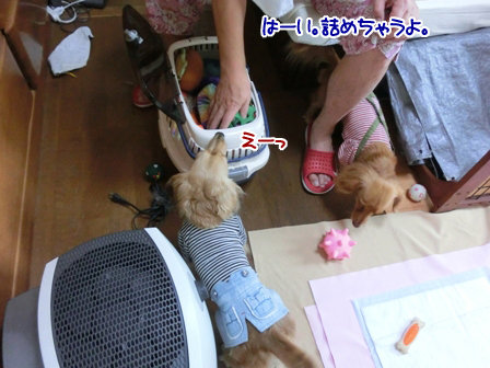 201606083.jpg