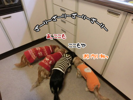 201512021.jpg