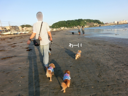 201605132.jpg