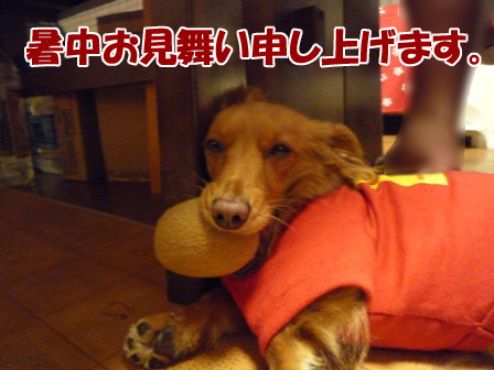 006_20120731224627.jpg
