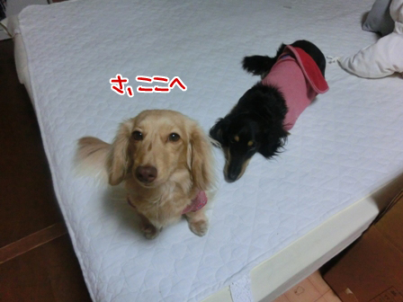201606162.jpg