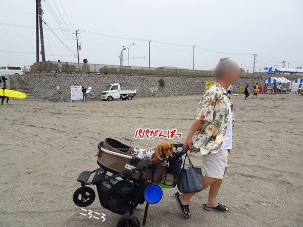 20180527meruloco-4
