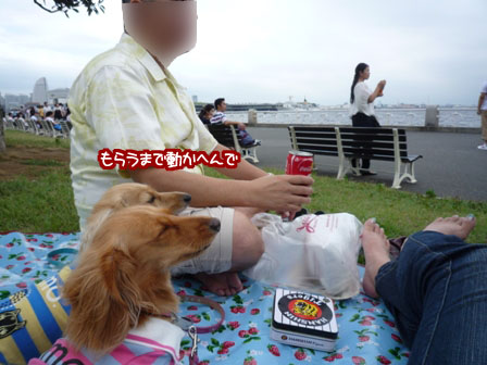 017_20110723235126.jpg