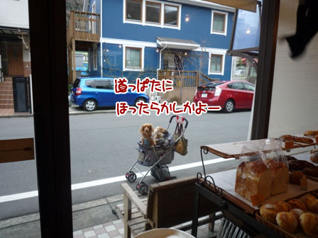 005_20120324221904.jpg