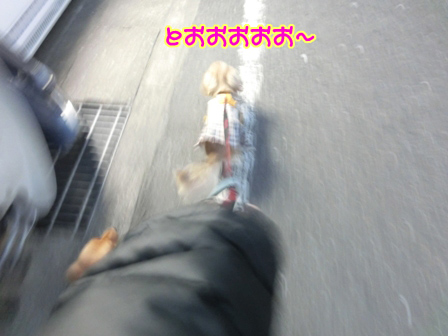 008_2014040121312870b.jpg