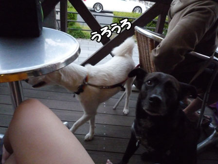 007_20120514225230.jpg