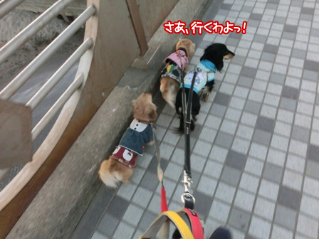 201601283.jpg