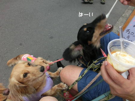 008_20140824230313be0.jpg