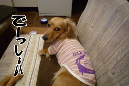 002_20120419215950.jpg