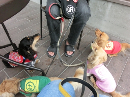 201605264.jpg
