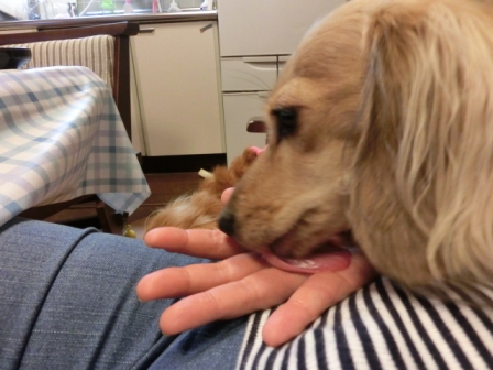 009_20120925230409.jpg