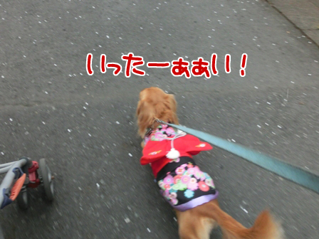 013_2015010200093124c.jpg