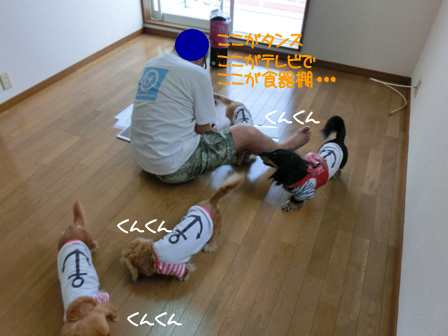 20160625.jpg