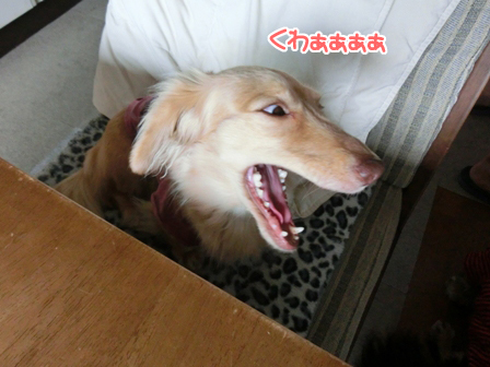 201606015.jpg