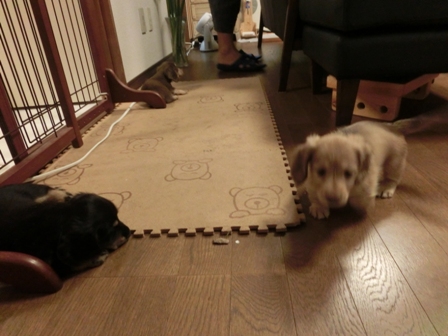 018_20130803233704397.jpg