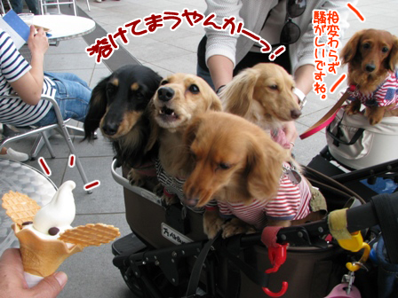 2016042508.jpg