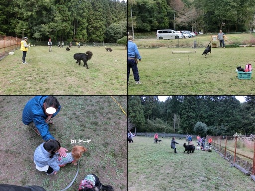 bbq-05