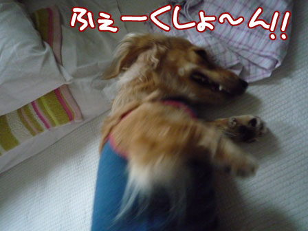 020_20110731225543.jpg