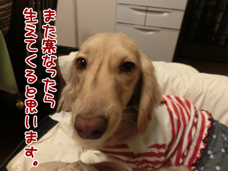 001_201404222235431ce.jpg