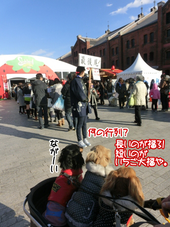 201602084.jpg