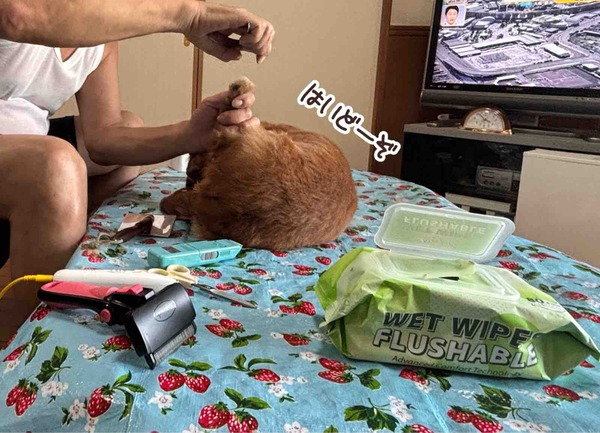 IMG_7702