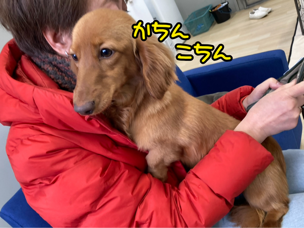 IMG_3848
