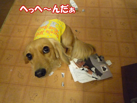 003_20101202221447.jpg