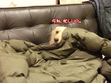 002_20130127002843.jpg