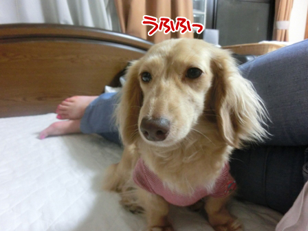201606165.jpg