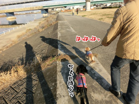 201512313.jpg