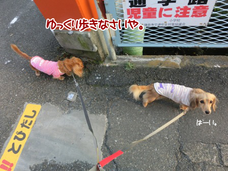 20151029002.jpg