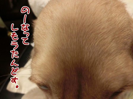 003_201404222235434d3.jpg