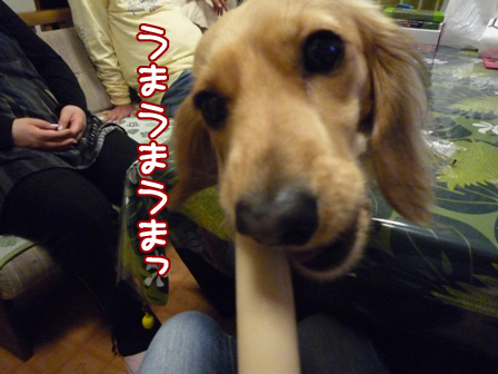014_20110427001137.jpg