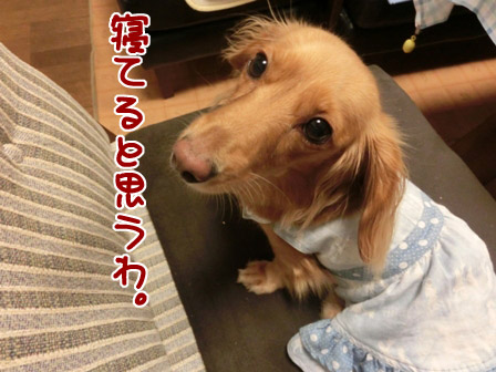 006_20120911234816.jpg