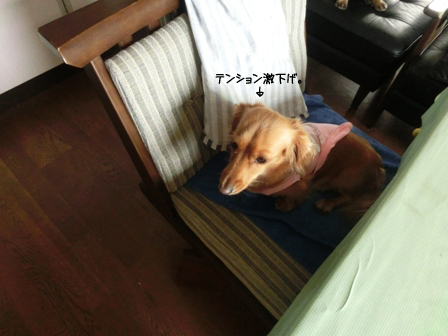 001_2014091622010263a.jpg