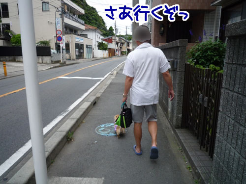274db770.jpg