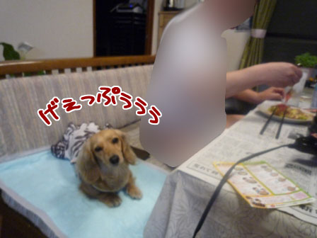 038_20120429235514.jpg
